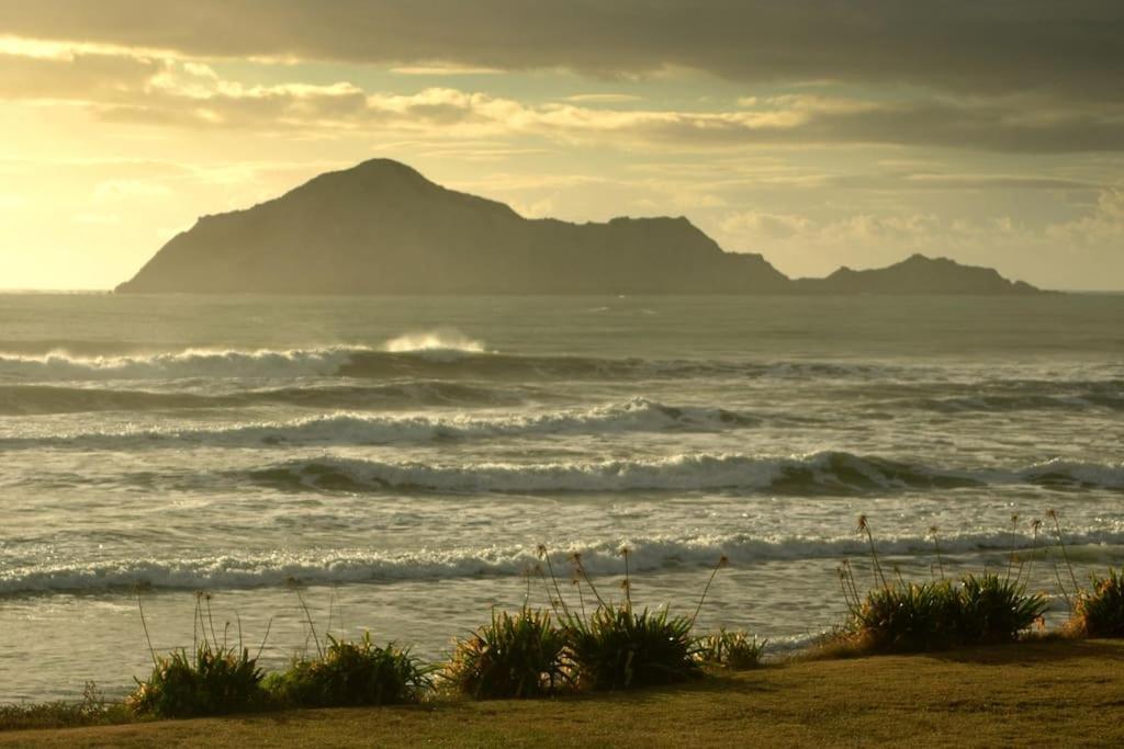 Cape South Estate - International Award-Winning Country Estate With Pacific Views Havelock North Exteriör bild