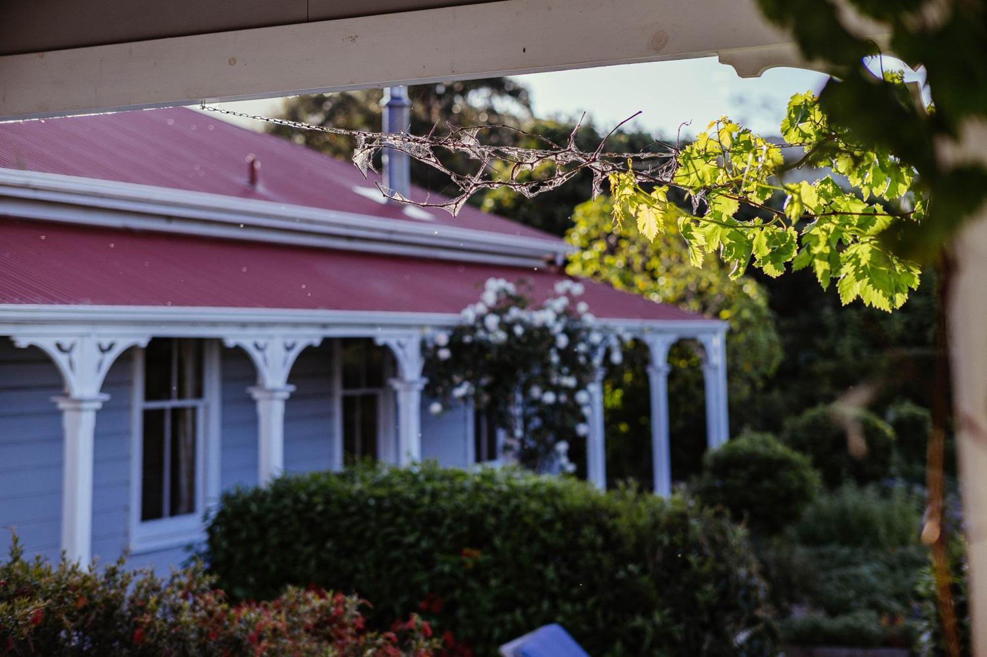 Cape South Estate - International Award-Winning Country Estate With Pacific Views Havelock North Exteriör bild